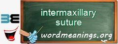 WordMeaning blackboard for intermaxillary suture